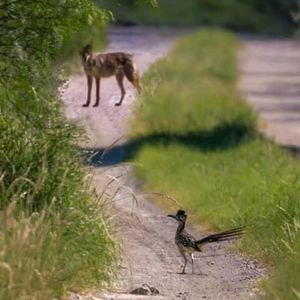 Meet your Posher, Jaquincho